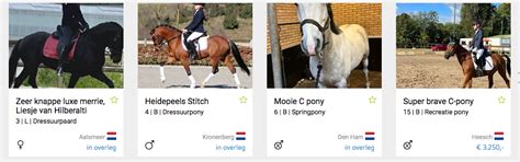 sporthorses.nl